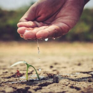 A hand gently watering a small sprout in dry soil, symbolizing growth and care.